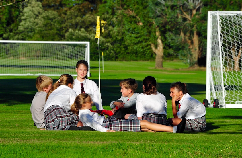 pupils on grass