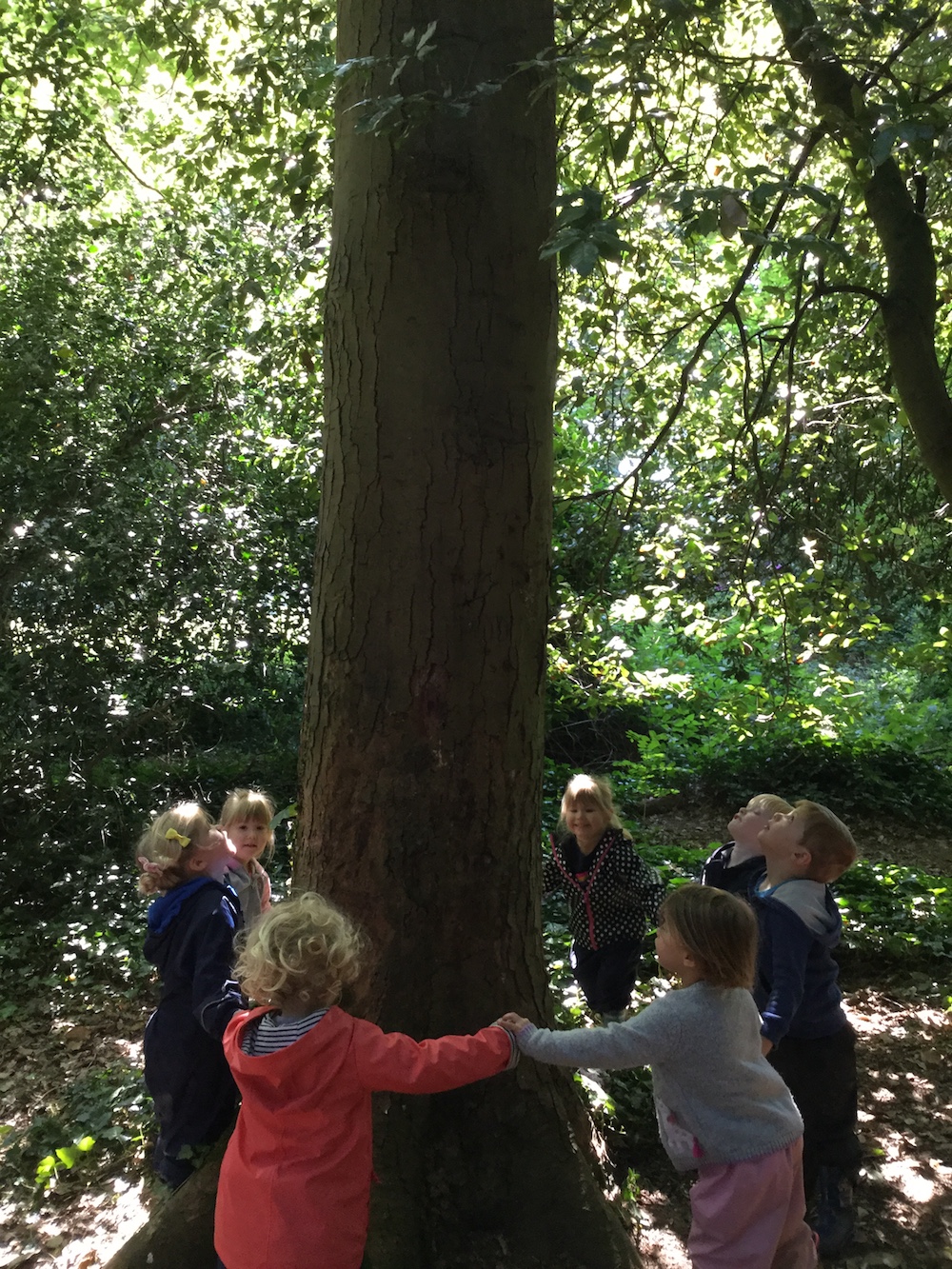 From little seeds grow mighty trees | Westbourne House School