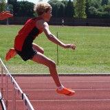 Hurdles