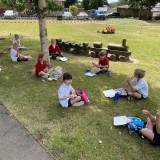 picnic lunches