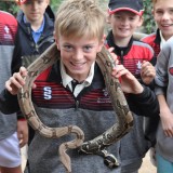 snake - South African cricket tour