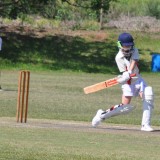 Cricket action - South African cricket tour