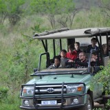 Safari - South African cricket tour