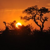 Sunset in South Africa