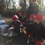 Forest School at Westbourne House School