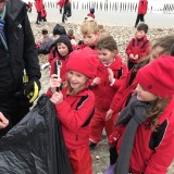 plastic and rubbish collection at beach