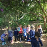 Forest School Identifying trees