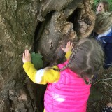 Forest School Identifying trees