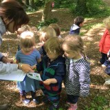 Forest School Identifying trees