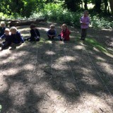 Forest School finding out age of trees