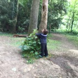 Forest School Tree Hug