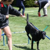 School fete