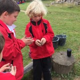 Clay pot making