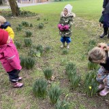 preschool nursery children daffodils on walk