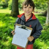 Drawing bluebells in Year 1