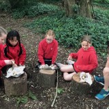 forest school - saturday activity