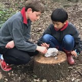 forest school - saturday activity