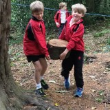 forest school - saturday activity