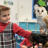 holding a barn owl in Year 2 castles project