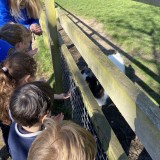 Staunton Farm visit