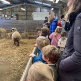 Staunton Farm visit