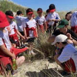 Y3 visit East Head and West Wittering