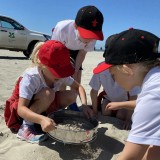 Y3 visit East Head and West Wittering