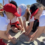 Y3 visit East Head and West Wittering