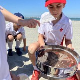 Y3 visit East Head and West Wittering