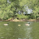 River Wye adventure - residential