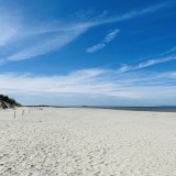 Y4 visit East Head and West Wittering