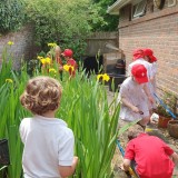 Y2 pond dipping