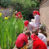 Y2 pond dipping