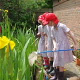 Y2 pond dipping