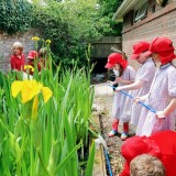 Y2 pond dipping