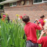 Y2 pond dipping