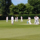 IAPs Boy's Cricket