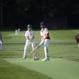 Cricket 4th May