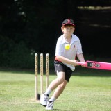 Cricket 16th June