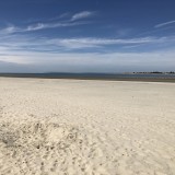 Y4 visit East Head and West Wittering