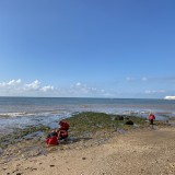 Geography trip with Year 5 to the Isle of Wight