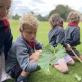 Butterflies with Year 2