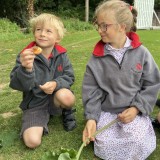 Butterflies with Year 2