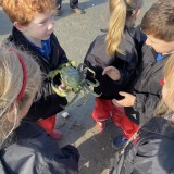 Commotion in the Ocean - beach trip with Year 1