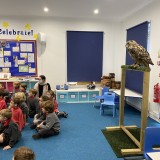 eagle owl