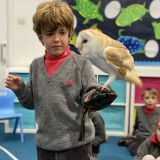 holding a barn owl in Year 2 castles project