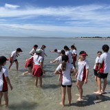 Y4 visit East Head and West Wittering