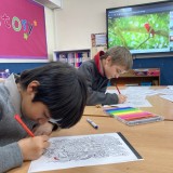 mindful colouring