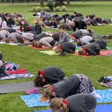 whole school yoga for CMHW