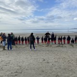 Commotion in the Ocean - beach trip with Year 1